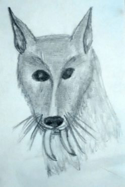 screen-shot-2016-11-20-at-9-55-55-pm