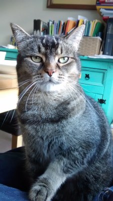 img_20161016_153259226