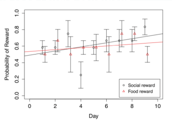 Biology Projects - Tales and Tips from a second year uni student about fish, insects, and writing a good scientific paper https://sonorahillsauthor.com/