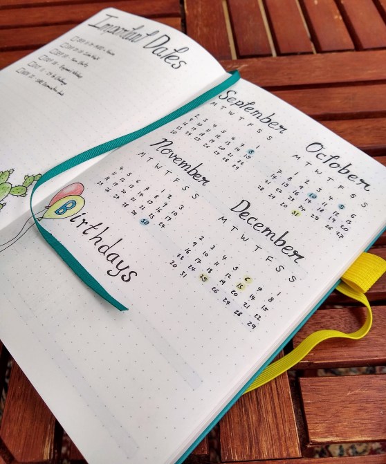 New Bullet Journal - Year in a Glance page in Scribbles That Matter notebook https://sonorahillsauthor.com/